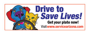 Drive to Save Lives