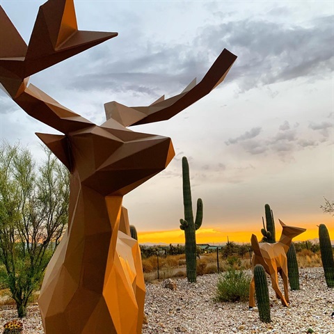 Town of Marana seeks to fill two seats on the new Public Art Review Committee