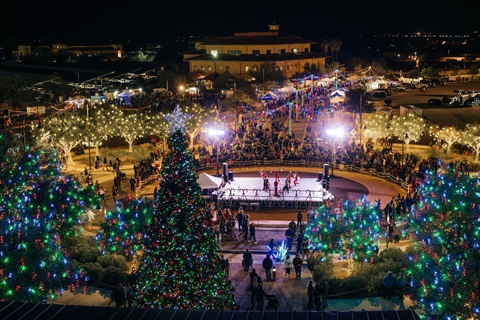 Holiday Festival & Christmas Tree Lighting Highlights