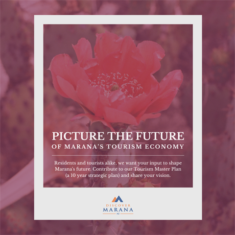 Shape Marana's future: Take our tourism survey!