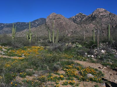 Catalina State Park