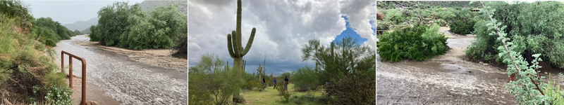 Flooded trails and storm clouds