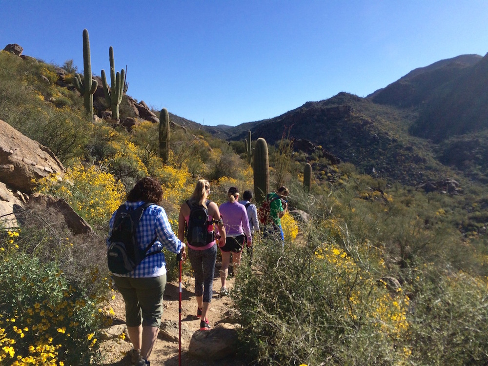 Wild Burro Trailhead