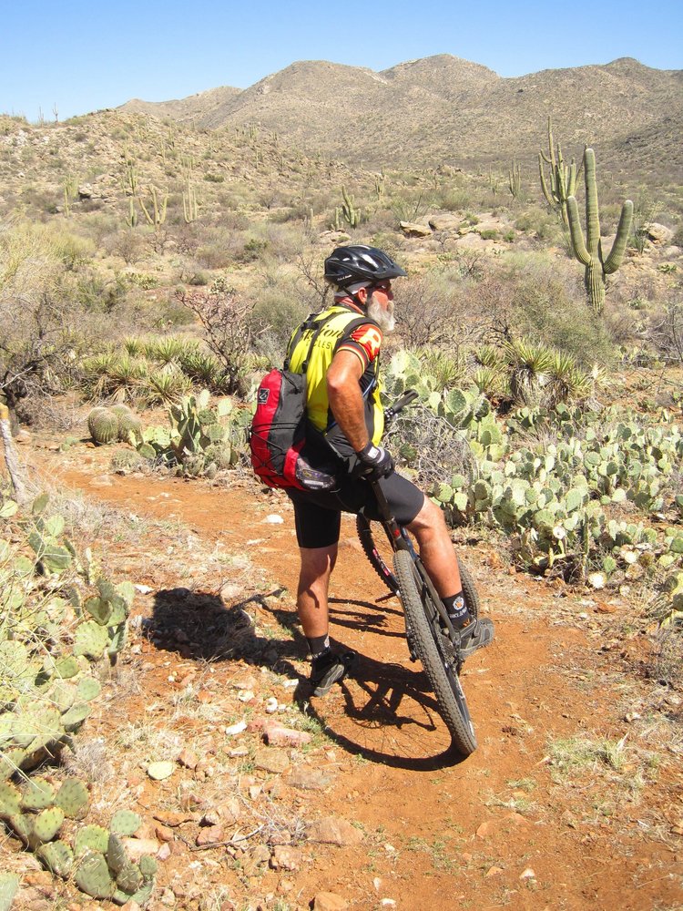 Town Staff leading a bike ride in the Tortolita Mountains