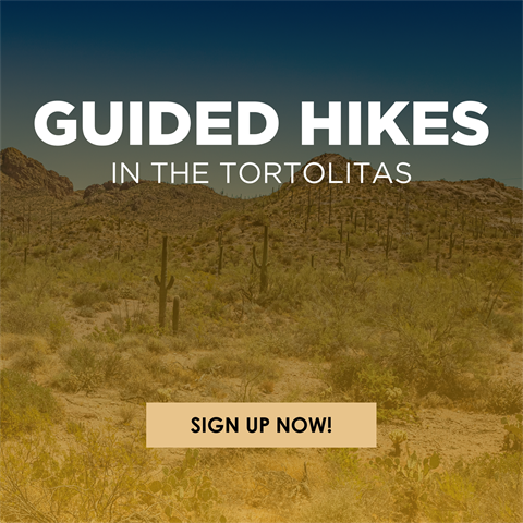 Copy of Guided Hikes in the Tortolitas Social Square.png