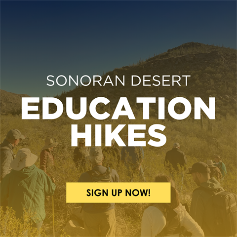 Copy of Sonoran Desert Education Hikes Social Square.png