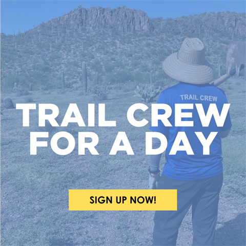 Copy of Trail Crew for a Day Social Square (1).png