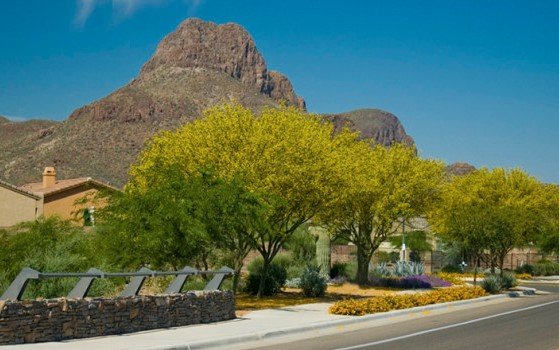 Continental Reserve Loop Streetscape