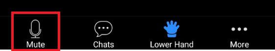 Zoom mute button