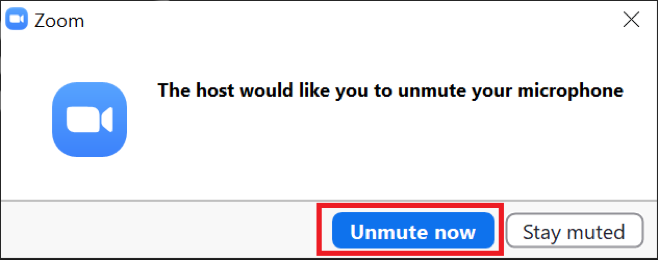 Zoom unmute now pop-up