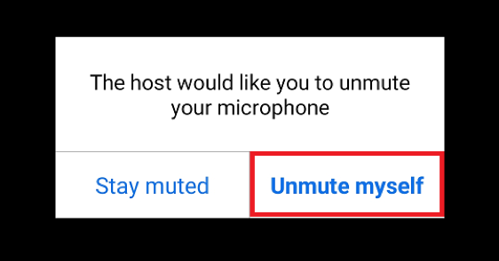 Zoom unmute myself button