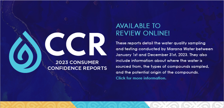 CCR Web Slider 2023