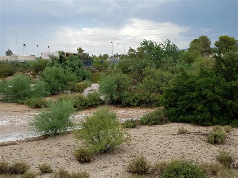 Marana landscape with rain water