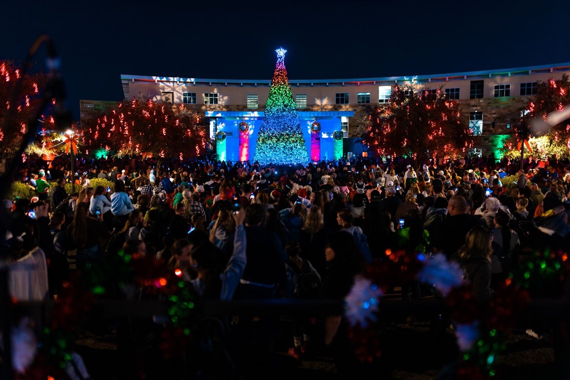 Crowds gather around Christmas Tree Lighting at Holiday Festival