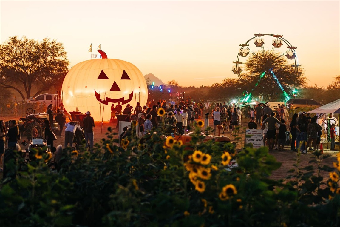 inflatable pumpkin at Fall Festival in sunflower fields